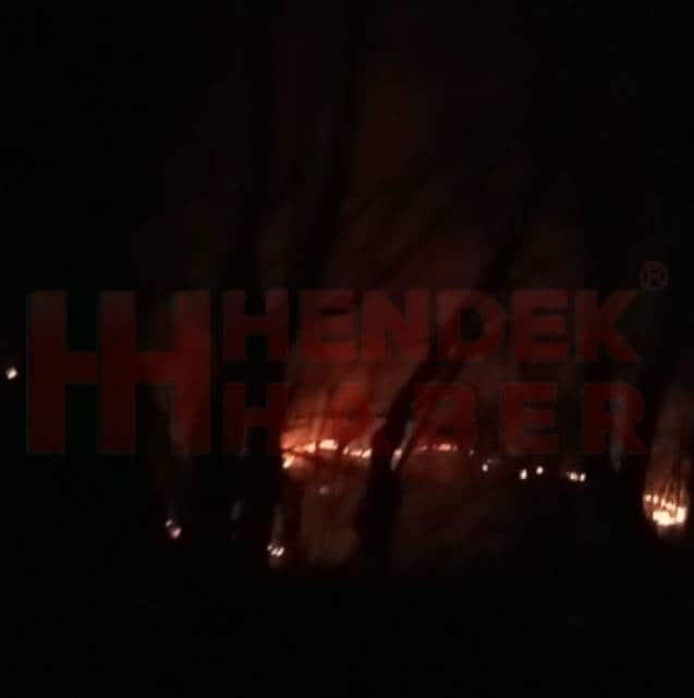 Hendek'te orman yangını yaşandı...